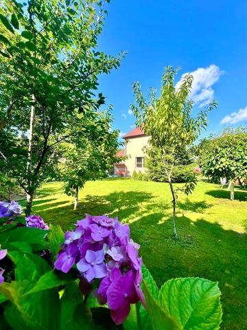 Дніпровське шосе