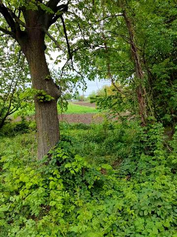 Немирів, Вінницький, Вінницька область 100000 USD