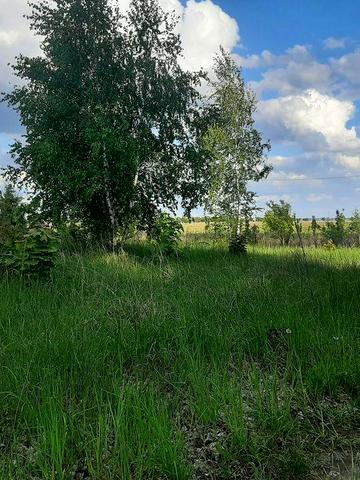 Козаровичі, Вишгородський, Київська область 18000 USD