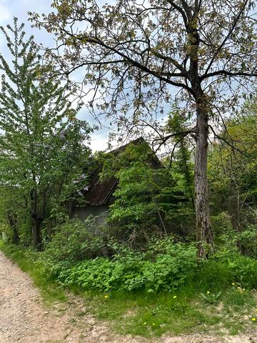 Забава вул.