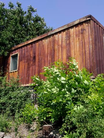 Дачі Северное