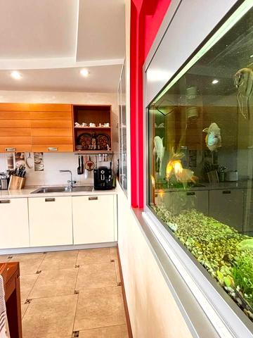 Володимира Антоновича вул. (Свердлова), 26