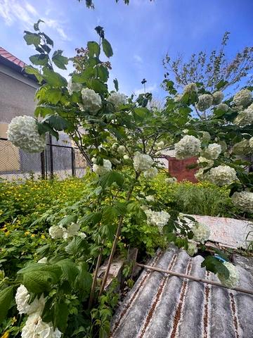 Купріна вул., 17