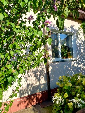 Окрема частина будинку зі своїм двориком. Комунальні враховані в ціну