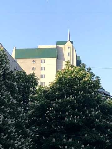 Академіка Павлова вул., 144