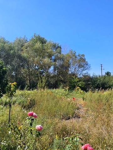 Сонячна вул.