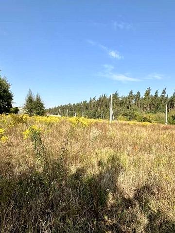 Немішаєве, Бучанський, Київська область 22000 USD