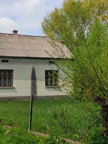 Зелена, 16