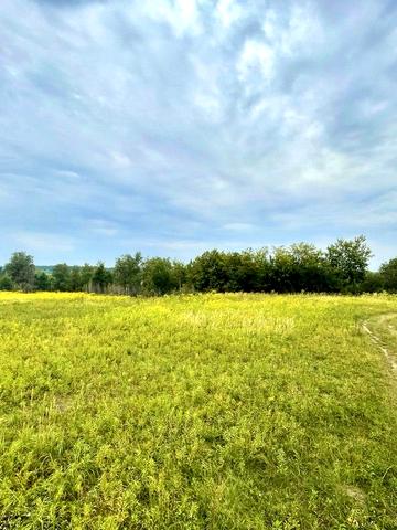 Мархалівка, Фастівський, Київська область 23180 USD