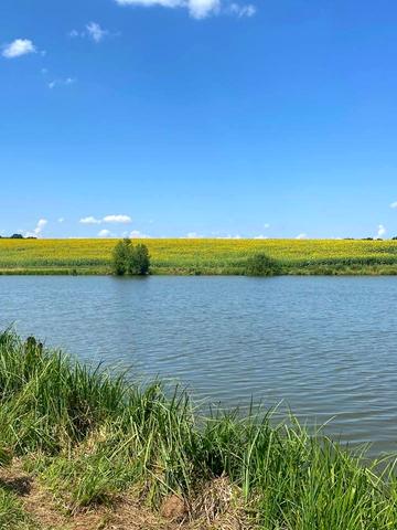 Зарванці, Вінницький, Вінницька область 16000 USD