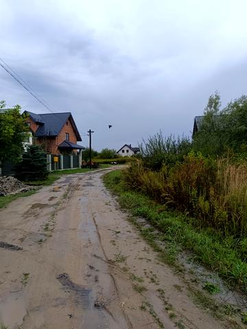 І . Білозіра