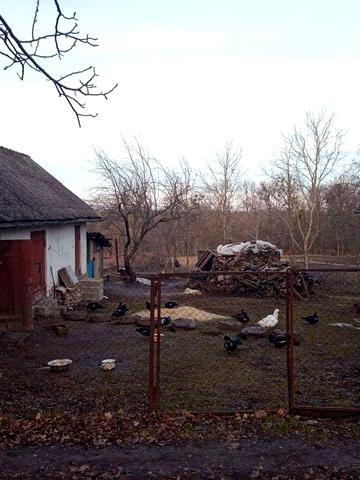 Хата с. Залісці. Відео в описі.