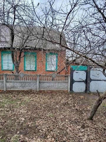 центральна