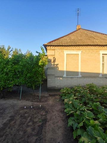 Ігренський пров. (Бакуніна), 5