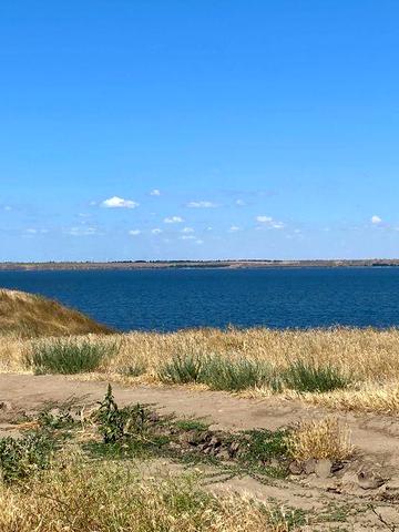 Будинок біля Лиману, с. Лупареве, Миколаївська обл. — 20 км від міста