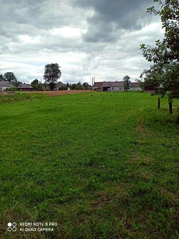 Дом в с.Головно.Волынская обл.СРОЧНО.