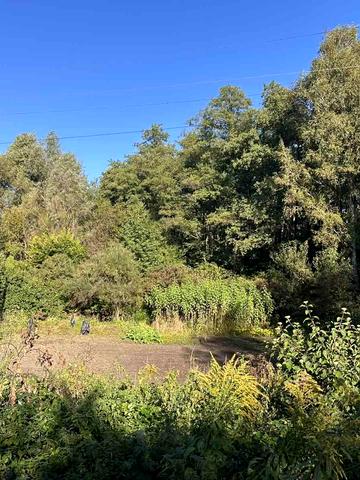 Скіфська, 60