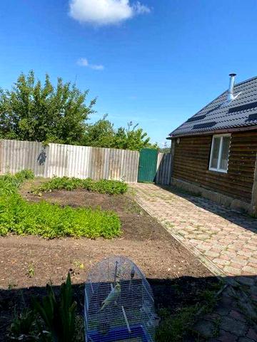 Продам будинок с. Заброди Богодухівський район (169150)