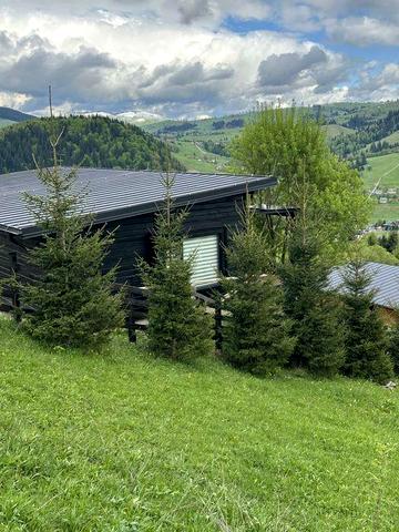 Нерухомість у Карпатах, продаж будинків , Буковель , Верховина .