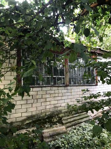 Будинок в селі на березі річки Десна