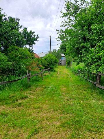 Будинок з присадибною ділянкою