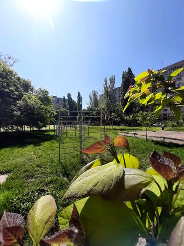 Князя Володимира Великого просп., 126