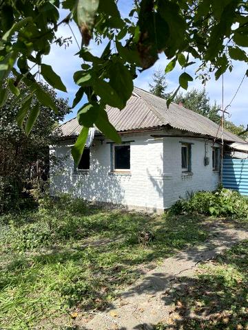 Будинок біля лісу для життя чи дачі