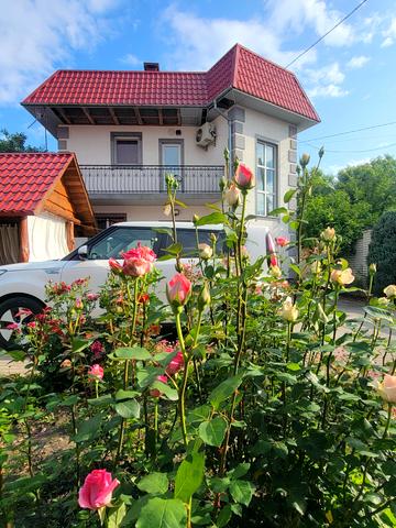 Романа Шухевича вул.