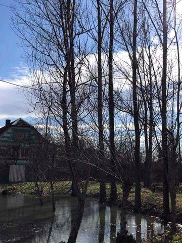 Будинок, 40 соток землі в Мале Попово.