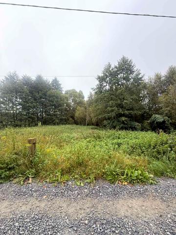 Басівка, Львівський, Львівська область 17000 USD