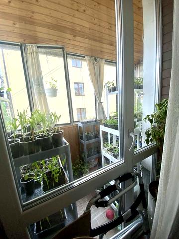 Костя Левицького вул. (), 99