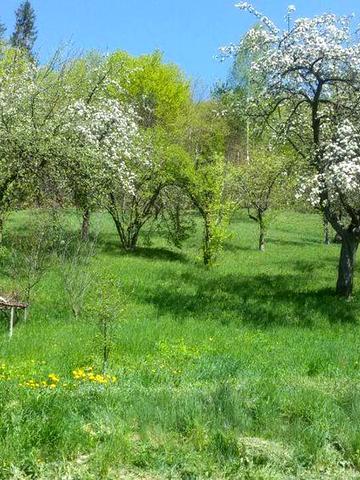 Продається господарка.