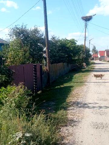 Продам будинок, м. Борзна, по вул. Покровській, буд. 57