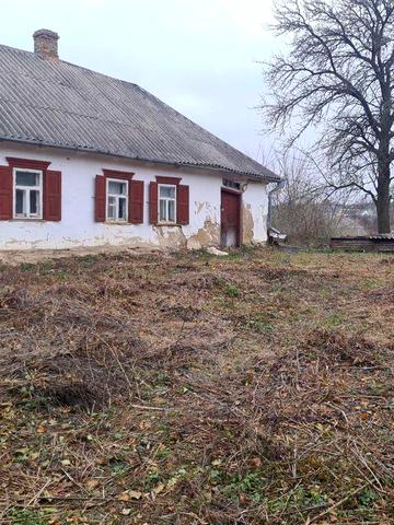 Продається будинок, в м. Сквира.