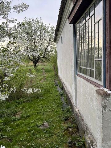 Продам будинок Новаки Житомирська обл.