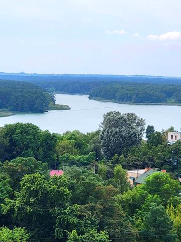 Шпаковська вул., 29