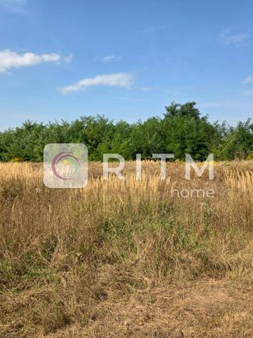 Щаслива вул., 10