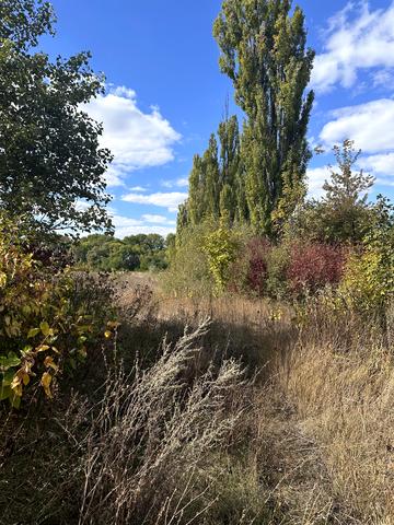 Карандаша, 7