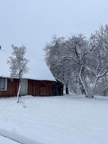 Продається деревяний будинок в с. Росохач