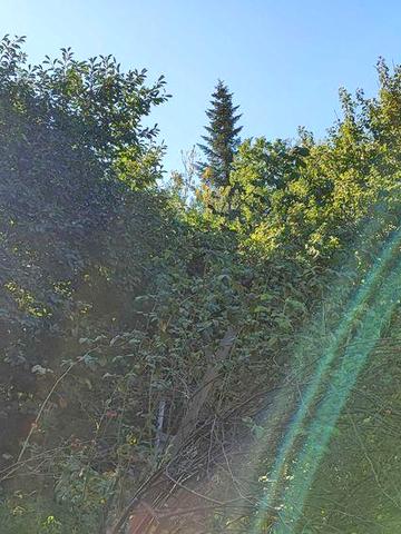 Продам дачу в місті