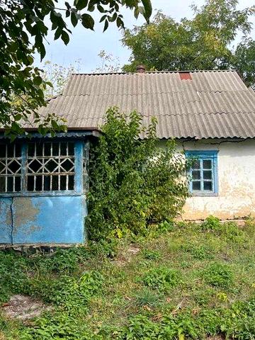 Будинок,Вільшана,земельна ділянка