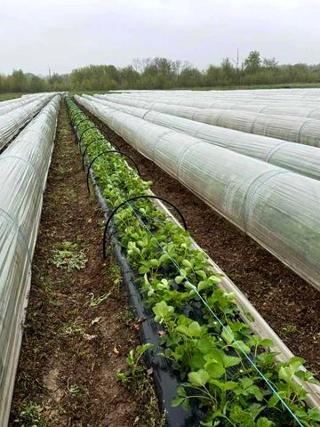 Фастів, Фастівський, Київська область 175000 USD