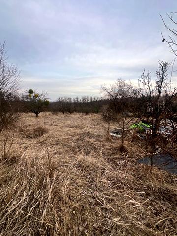 Креничі, Обухівський, Київська область 30000 USD