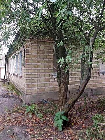 Соборна вул. (Леніна)