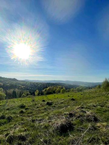 Стрий, Стрийський, Львівська область 1300 USD