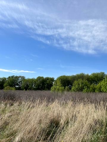 Новоолександрівка, Дніпровський, Дніпропетровська область 50000 USD