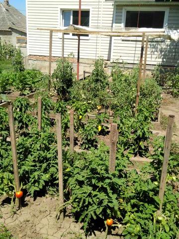 Двух этажный дом  Центр города + одноэтажный в одном дворе.