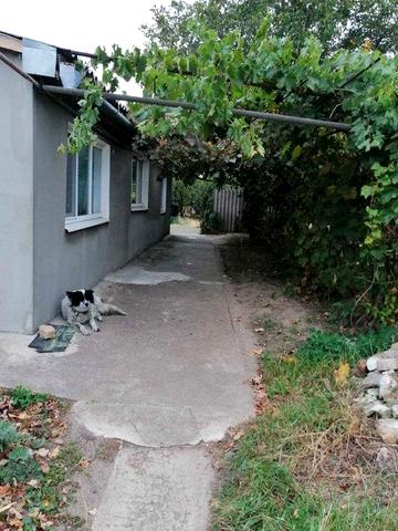 Продається будинок в смт Покровське