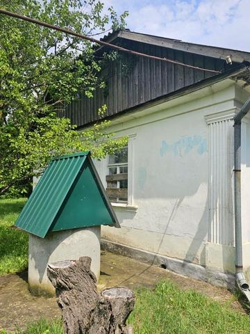 Центральна