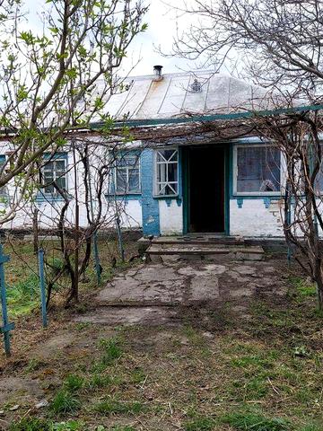 Продається будинок в с.Карапиші Київська область